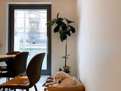 -PAUSE CAFE(南秀村店)