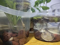 -三圣花乡旅游区