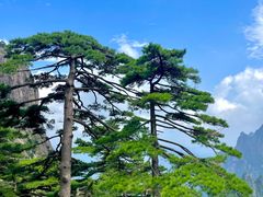 -黄山风景区