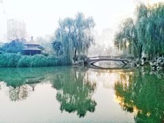 -西苑公园