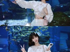 -海合安武汉极地海洋公园