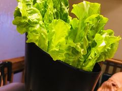 生菜-九田家黑牛烤肉料理(三墩店)