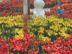 -上海鲜花港