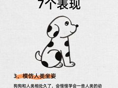 -派联宠物医院·24h·CT·异宠