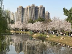 -堤角公园