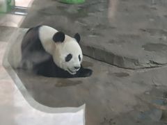 -二一九公园