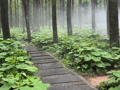 -洛阳白云山景区