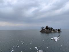 -小普陀