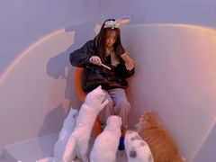 -More Fun猫咖 二十只万元加菲主题