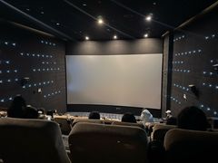 -深影国际影城(学院南路店CGS中国巨幕店)
