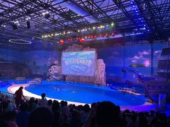 -华夏文旅海洋公园