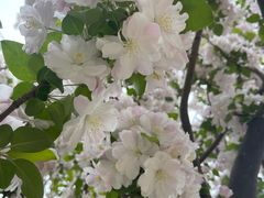 -元大都城垣遗址公园