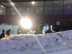 -世界之窗阿尔卑斯冰雪世界
