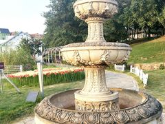 -大塘金香草谷