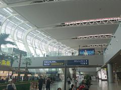 -合肥新桥国际机场-航站楼