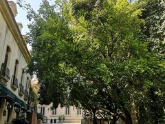 -北京张裕爱斐堡酒庄