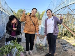 -庞各庄翠芳园西瓜蔬菜基地采摘园