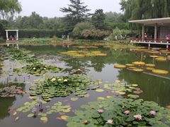 -国家植物园南园