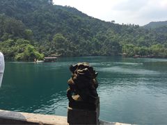 iphone_upload_pic-鼎湖山风景区