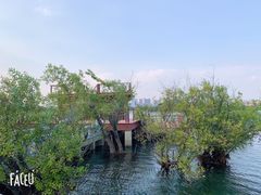 -贡湖湾湿地公园