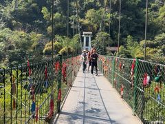 -西双版纳原始森林公园