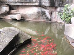 -乐山乌木文化博览苑