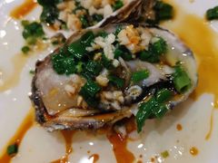 生蚝-金海湾海鲜排档(朱家尖店)