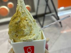 -野人先生现做冰淇淋(北京王府井东方新天地店)