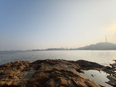 -野狸岛