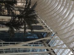 -吉野家(上地三街店)