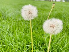 -潭柘厚院(桑峪村店)