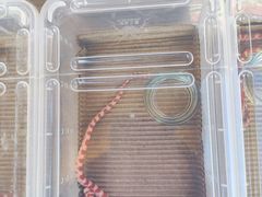 -华声天桥民俗文化园