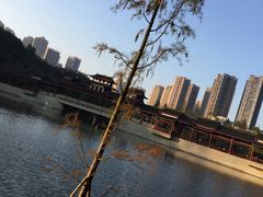 -重庆彩云湖湿地公园