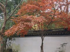 -秋霞圃
