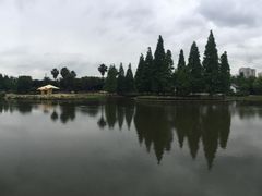 -河泥荡文化公园