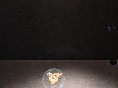 -鸿山遗址博物馆