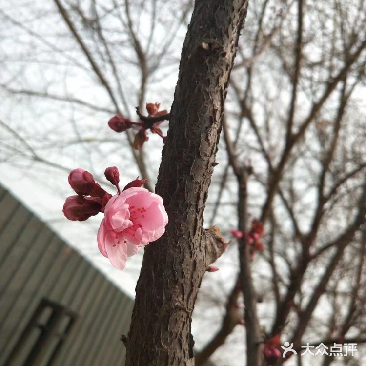 春暖花开奔你而来  我从春天走来，你在秋天说要分开