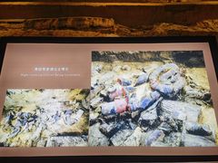 -秦始皇帝陵博物院(兵马俑)