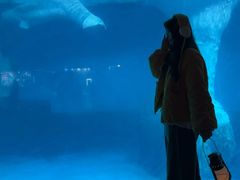 -海合安武汉极地海洋公园