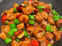 -老板恋上鱼(高新万达店)