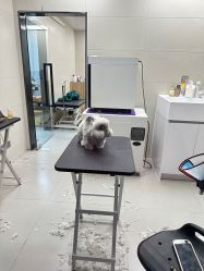 -八佰伴8008星级形象店