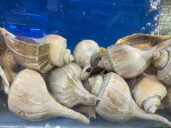 -青石桥市场北1-27号