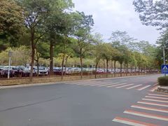 -红花湖景区