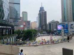 -威拉发艺