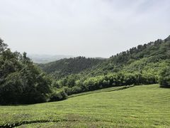 -敬亭山风景名胜区