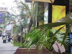 -猫屎咖啡(上下九步行街店)