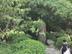 -庐山风景区花径公园