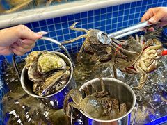 -云海轩·海鲜自助-河北云瑧世纪大饭店1F