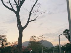 -白石龙音乐公园