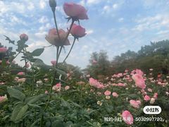 -人民公园(罗湖区)